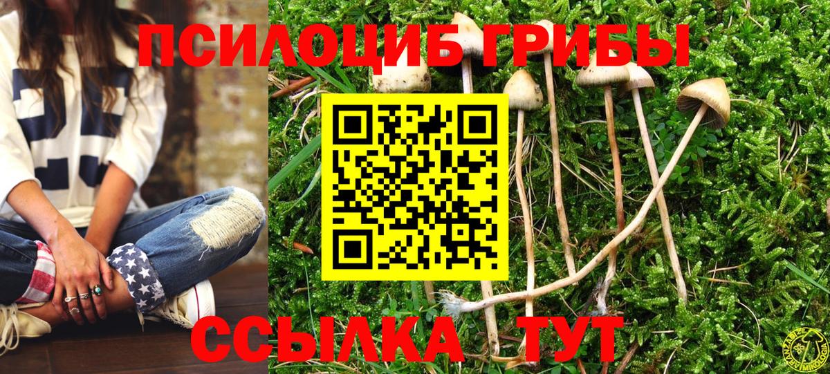 хочу   Галлюциногенные грибы Psilocybe  Рославль  Вход с VPN  Галлюциногенные грибы GOLDEN TEACHER 